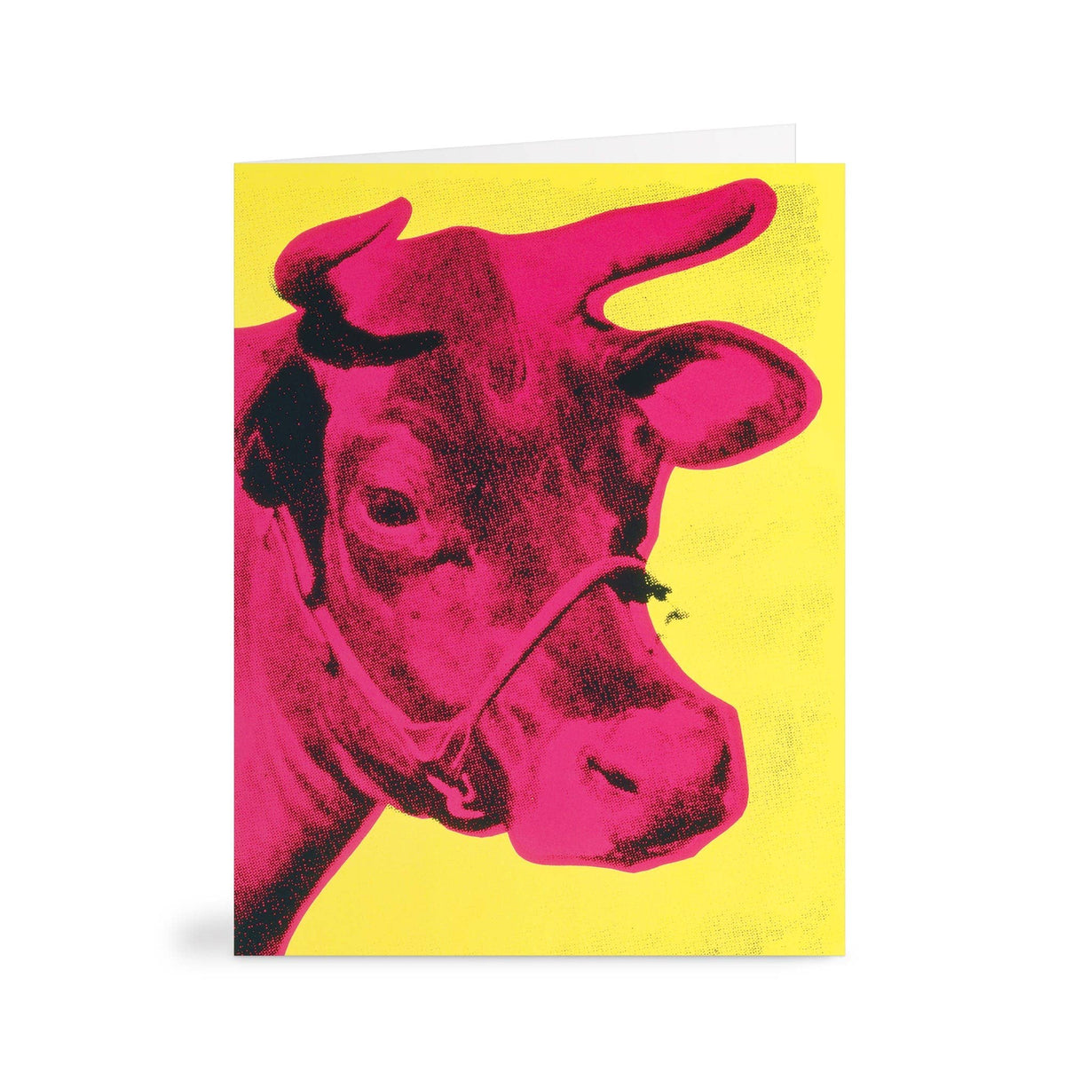 Warhol Pop Art Notecard Set