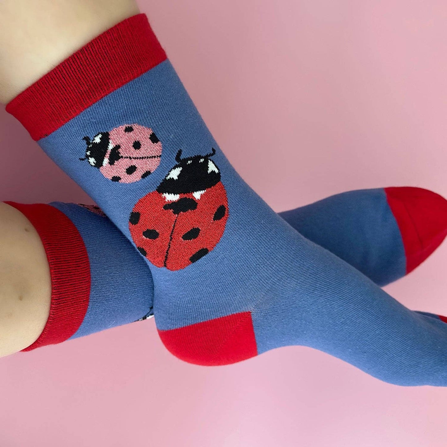Ladybug Socks
