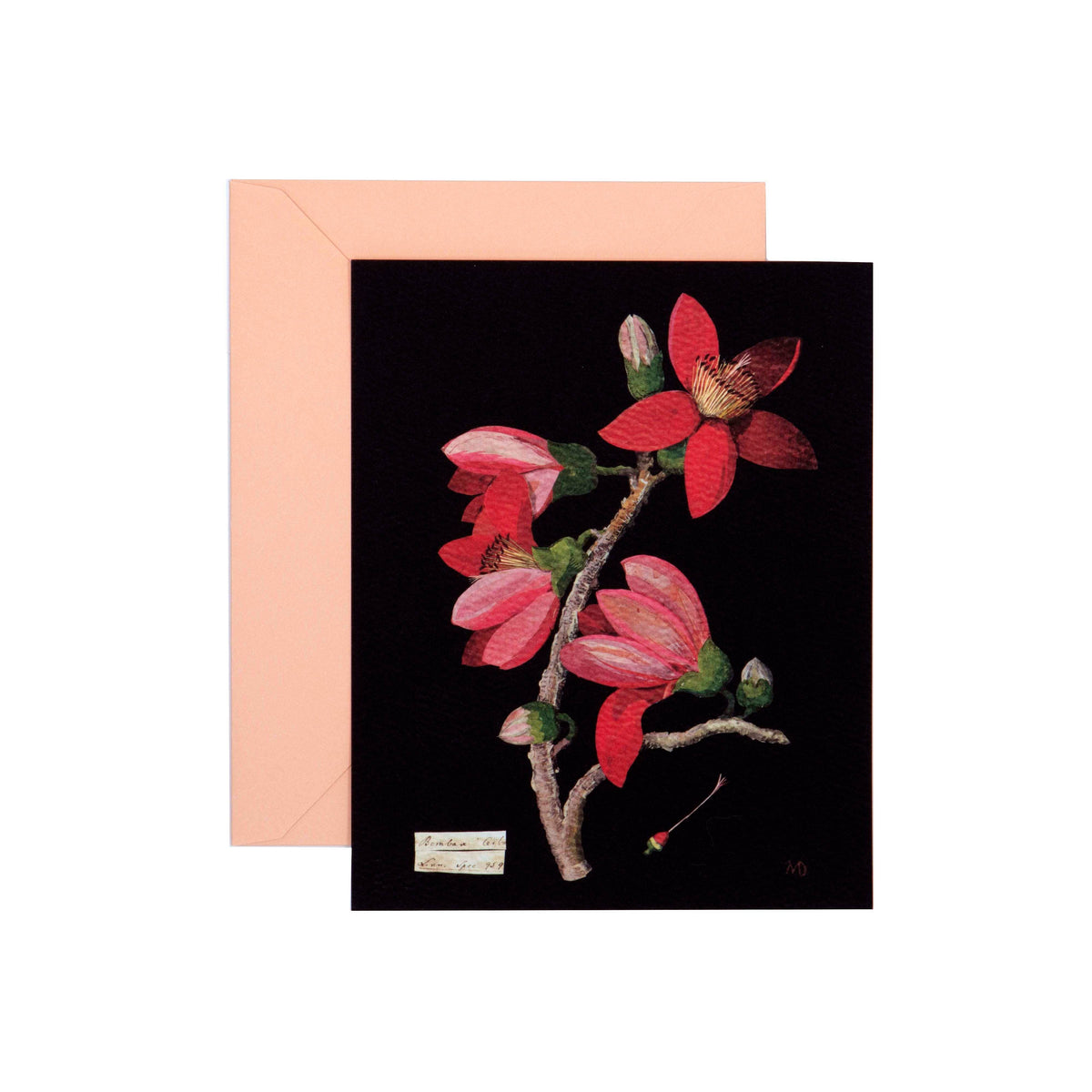 Paper Flowers Cards and Envelopes