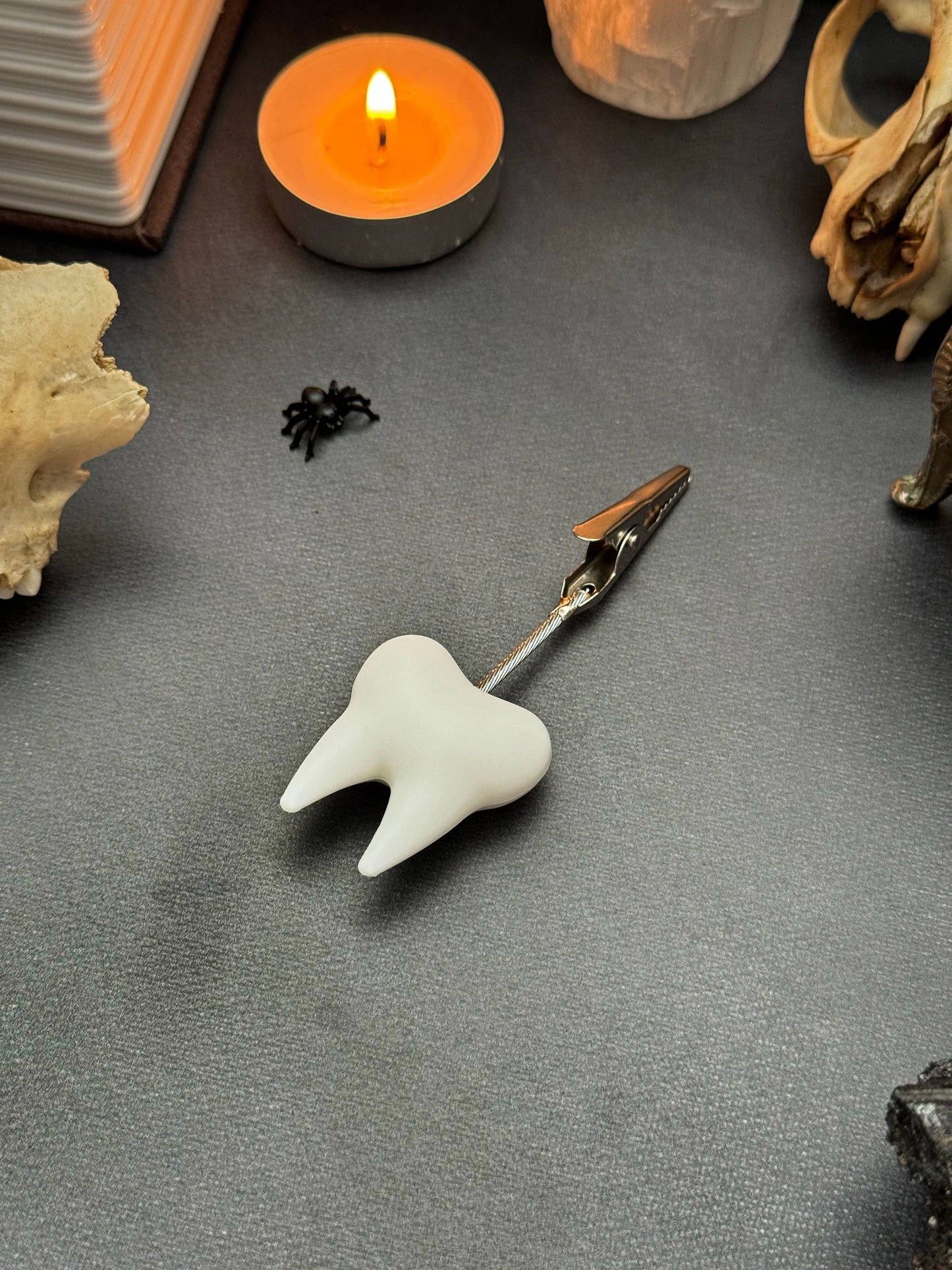 Tooth Clip