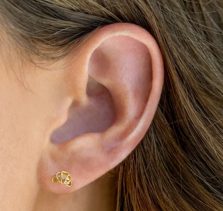 Snack Pack Stud Earrings- food mini Stud Earrings- Steel