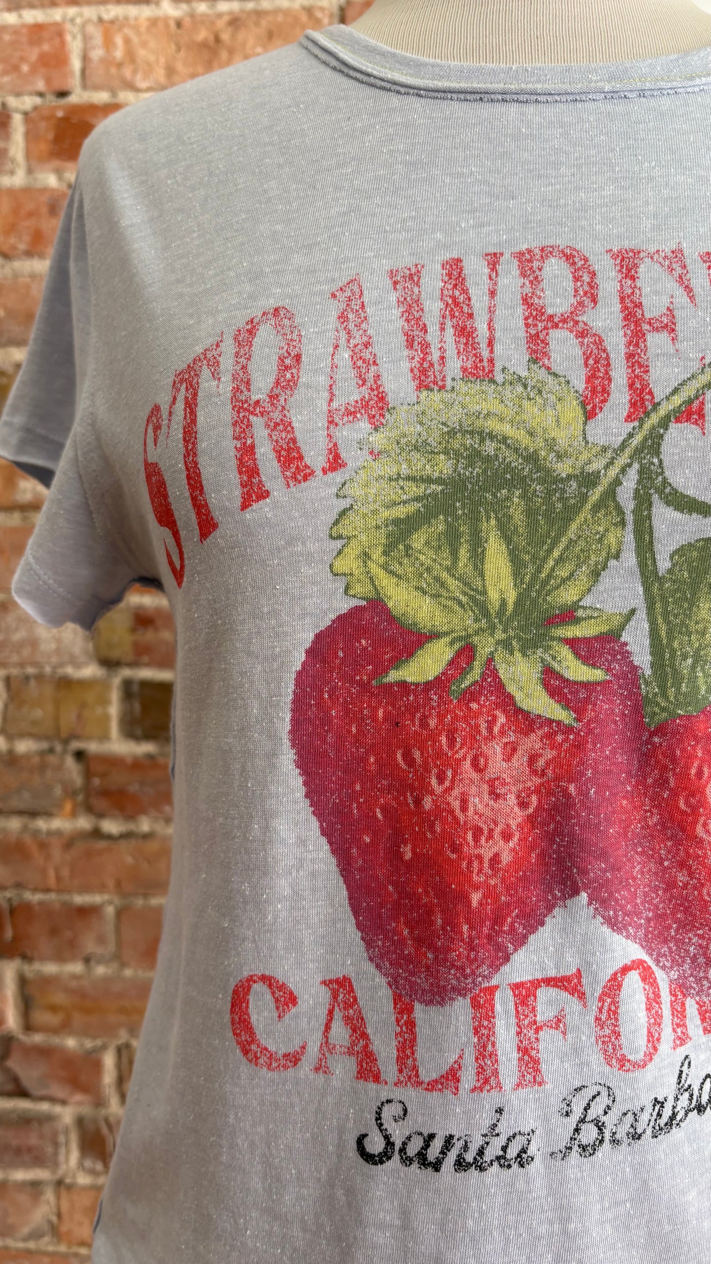 Nova Tee Graphic
