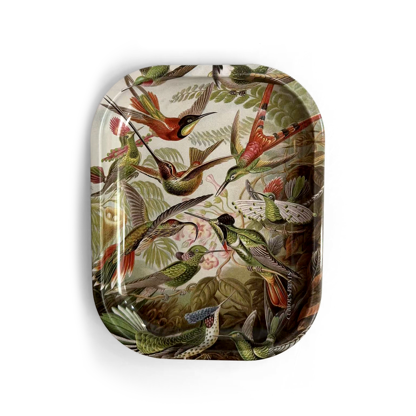 Small Metal Vintage Haeckel Hummingbirds Decorative Tray