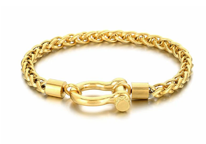 Horse Bit Carabiner Bracelet- Steel - Charm Bracelet 14K PVD