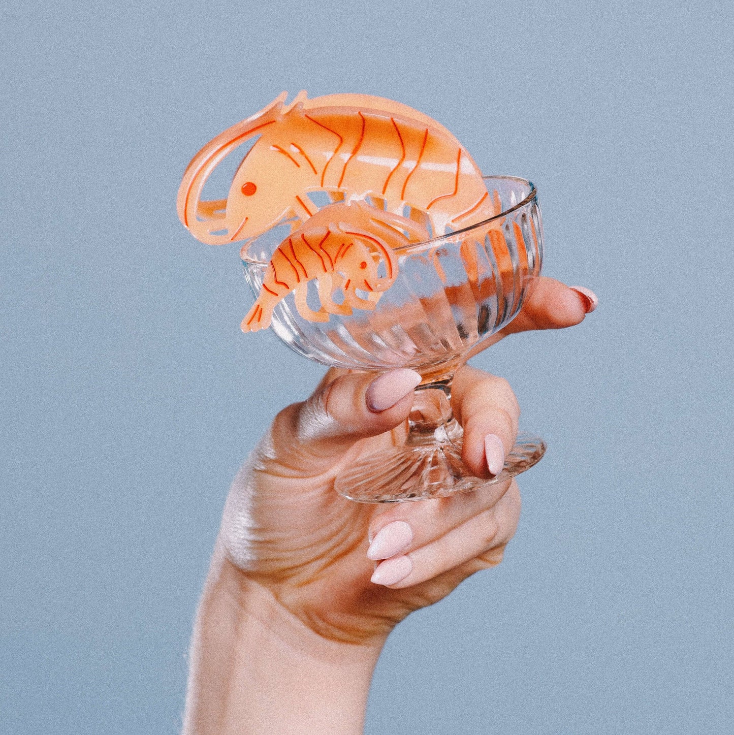 Mini Shrimp Hair Claw Clip