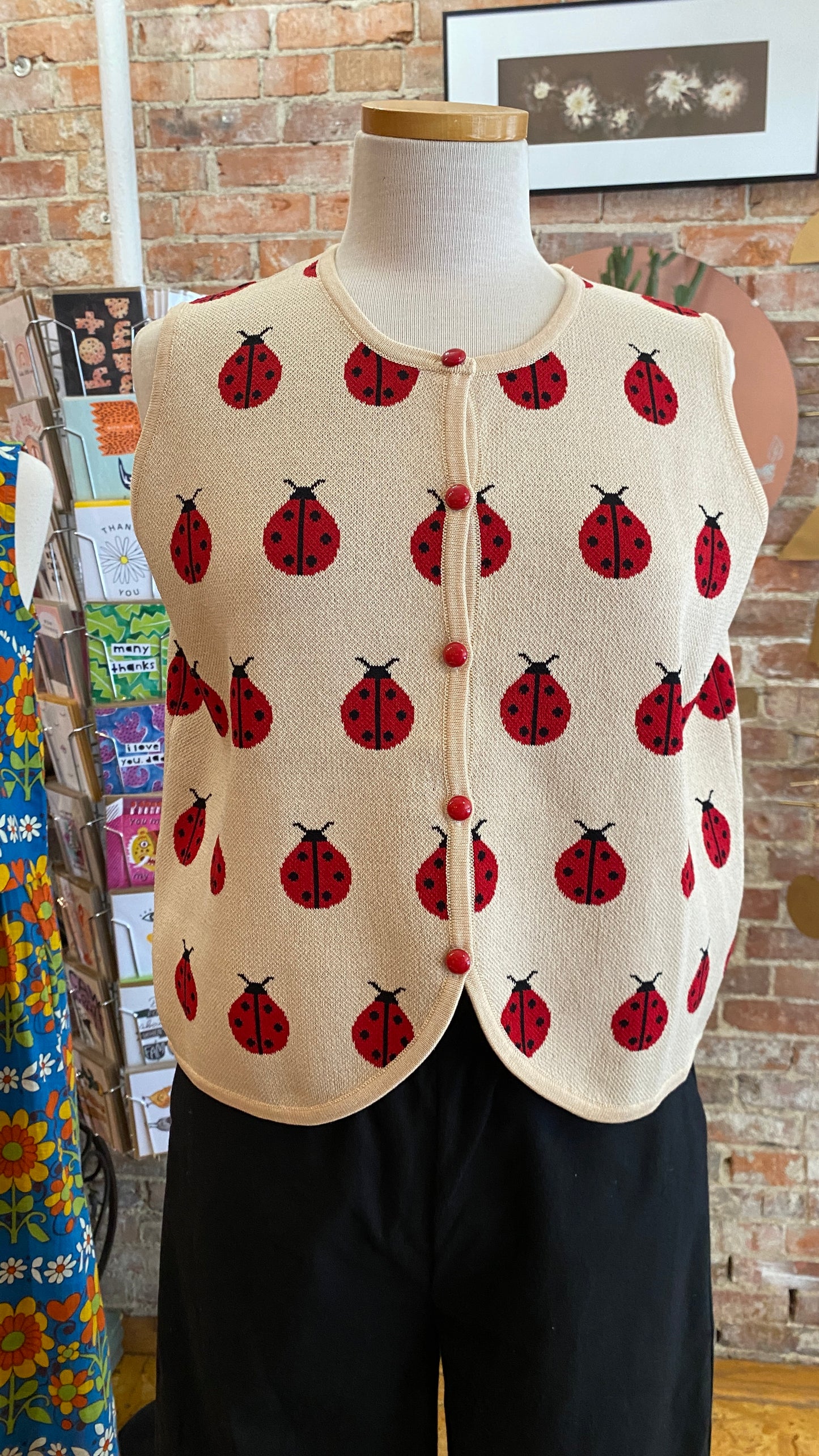 Ladybug Vest