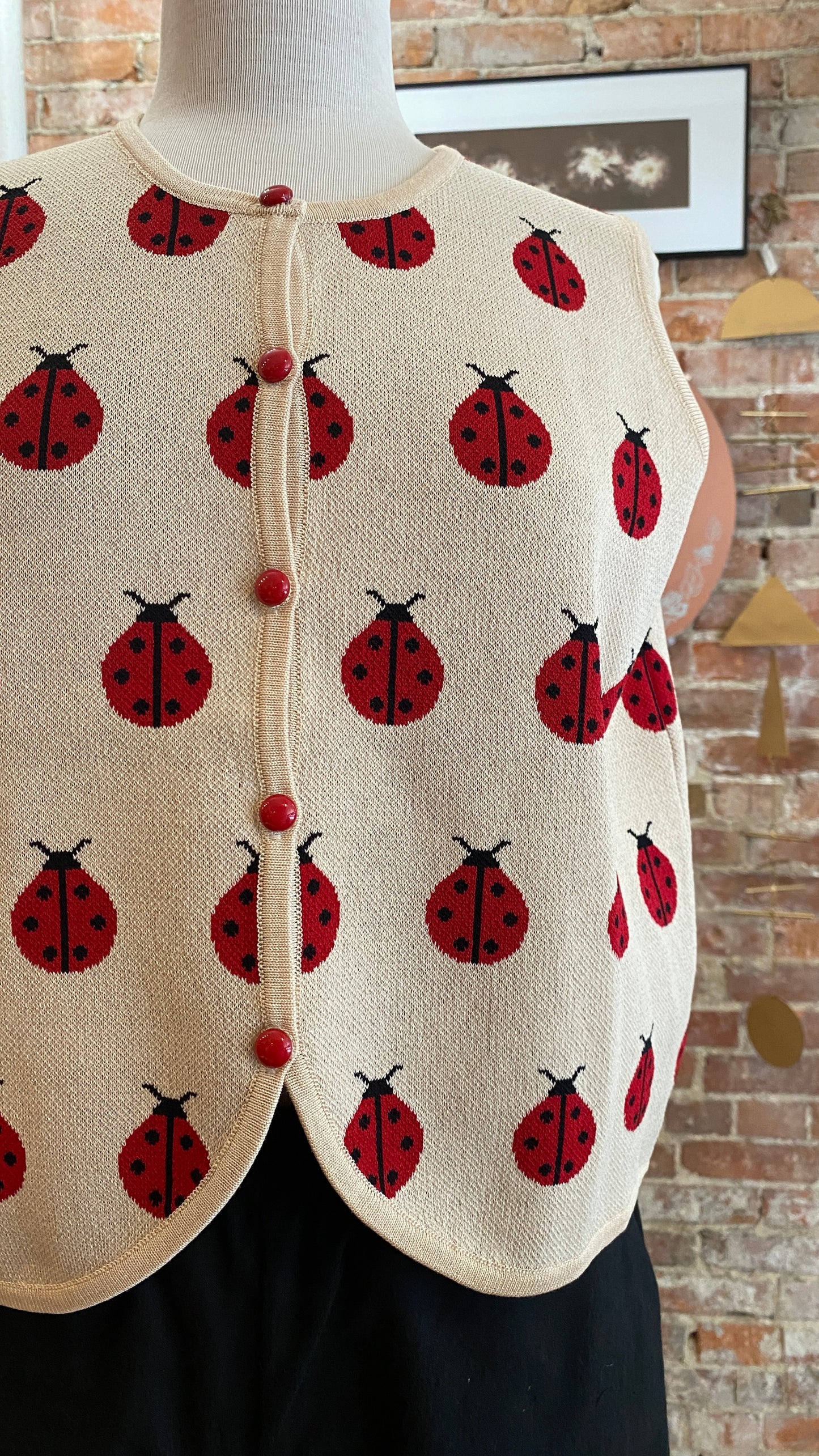 Ladybug Vest