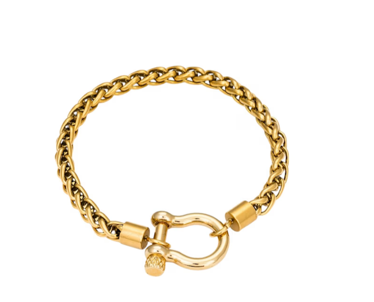 Horse Bit Carabiner Bracelet- Steel - Charm Bracelet 14K PVD
