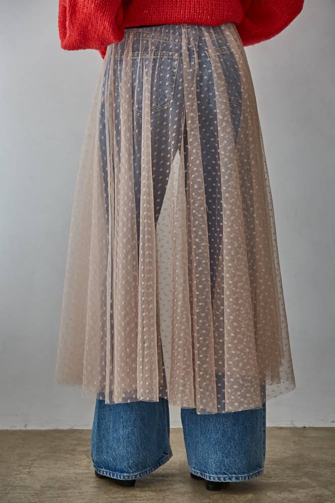 Mesh Swiss Dots See Through Skirt