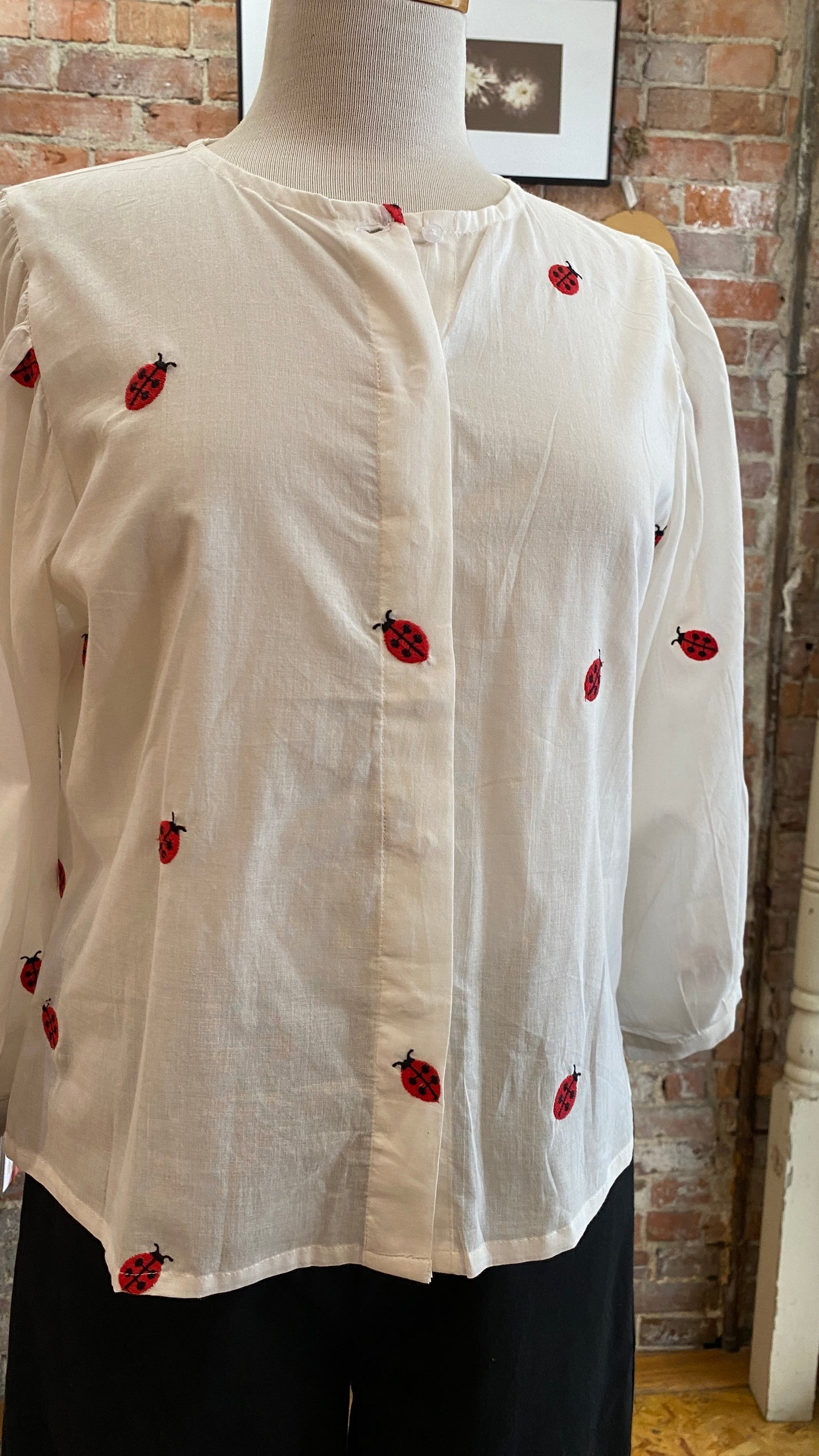 Ladybug Buttondown Top