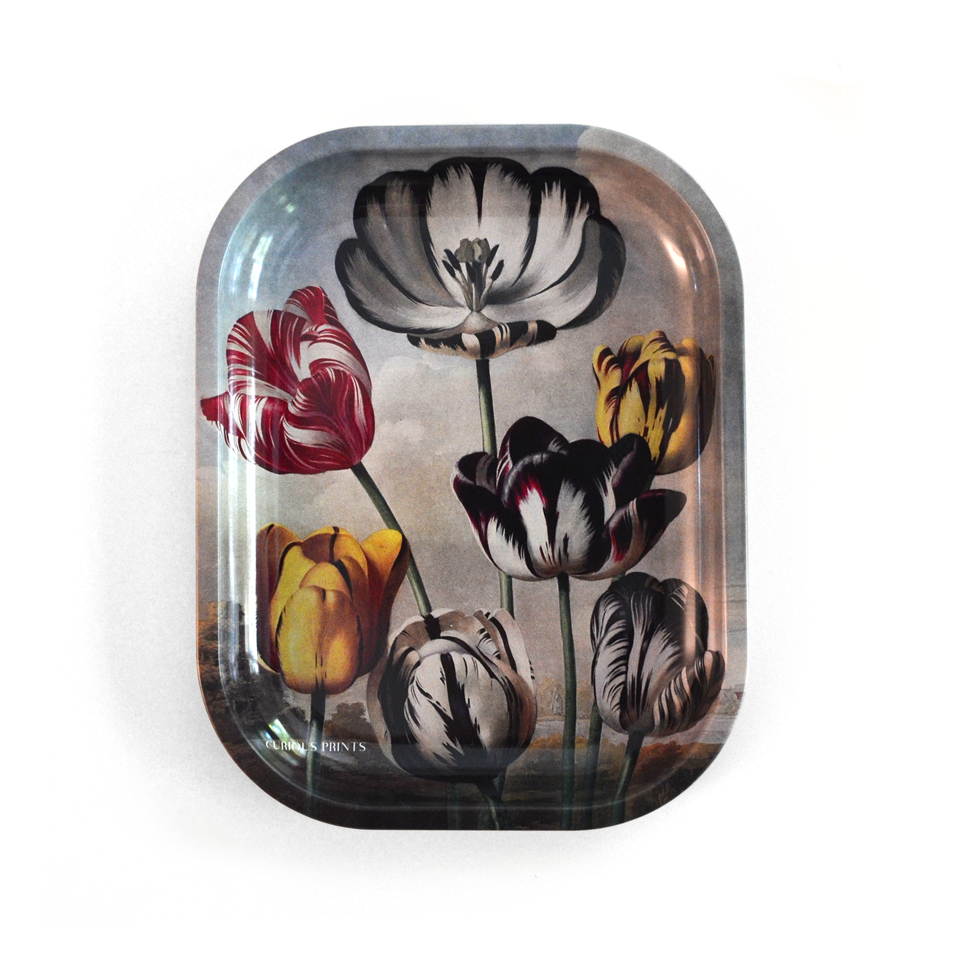 Small Metal Vintage Botanical Tulip Trinket Tray – Tsuru