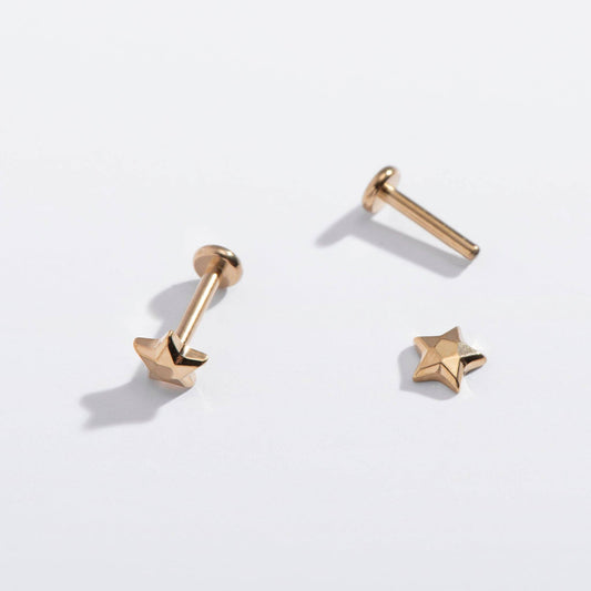 14k Gold PVD or Titanium Faceted Star Flat Back Studs