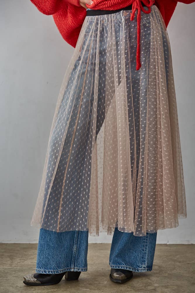 Mesh Swiss Dots See Through Skirt