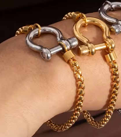 Horse Bit Carabiner Bracelet- Steel - Charm Bracelet 14K PVD