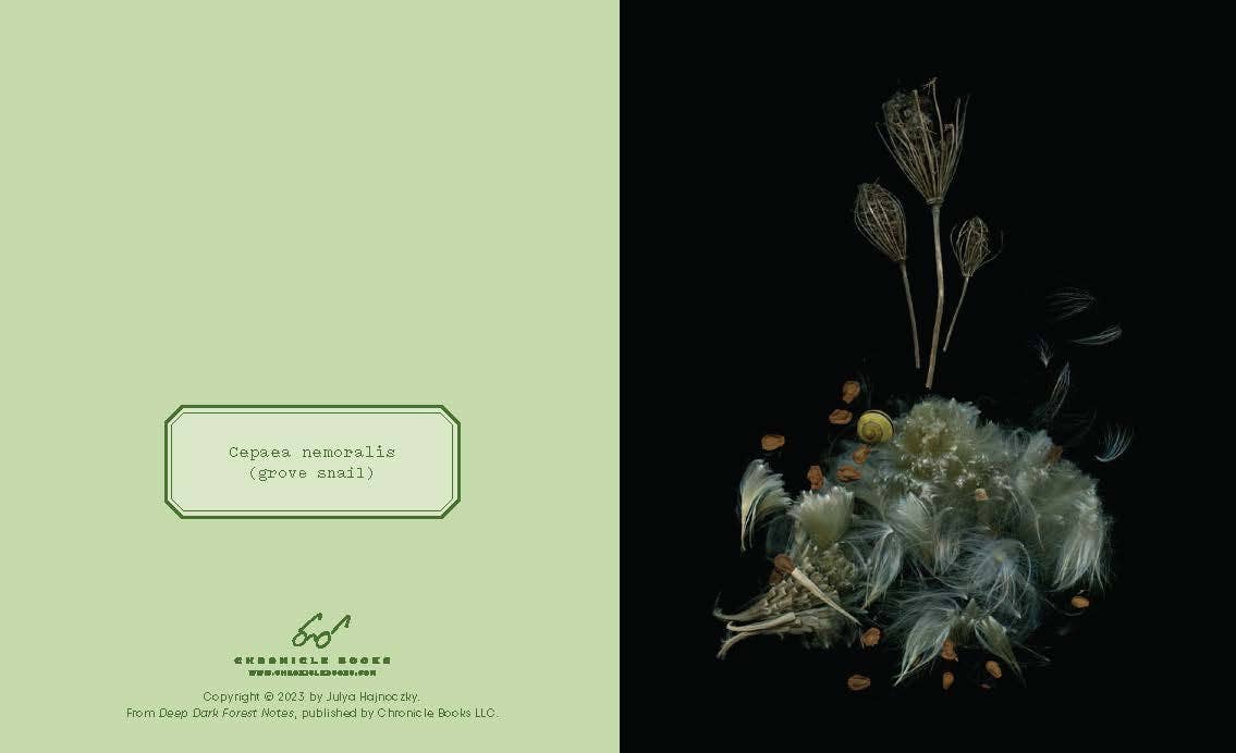 Deep Dark Forest Notes