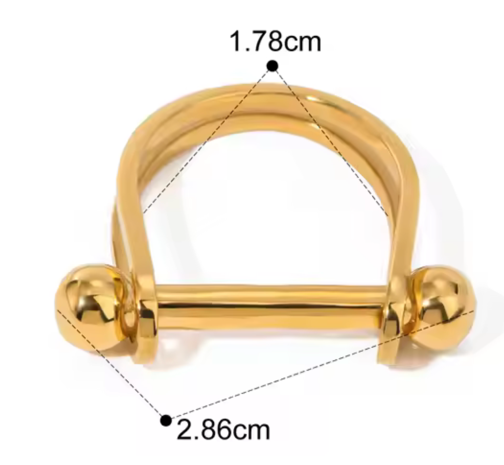 Snaffle- Stirup Steel 14K Gold Ring