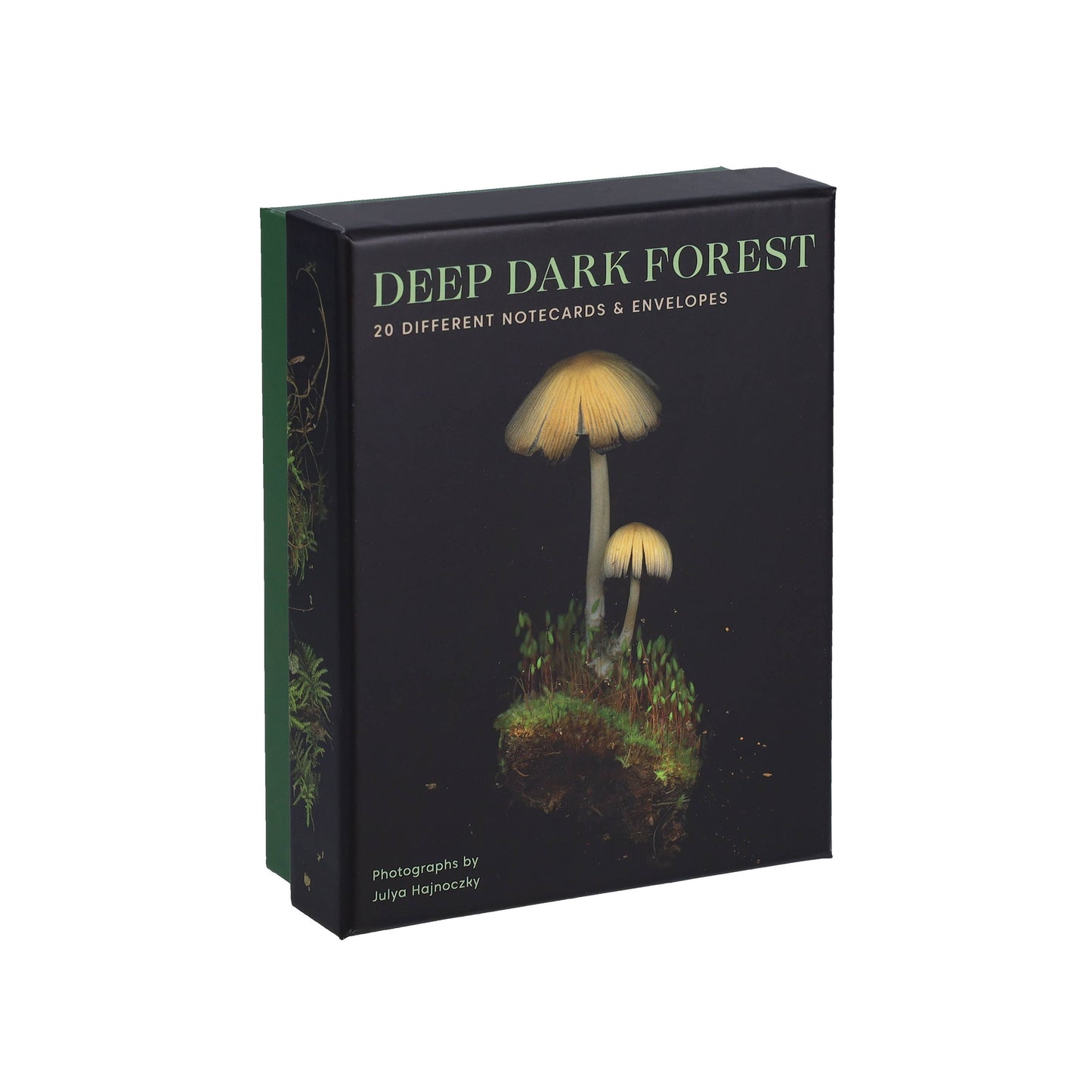 Deep Dark Forest Notes
